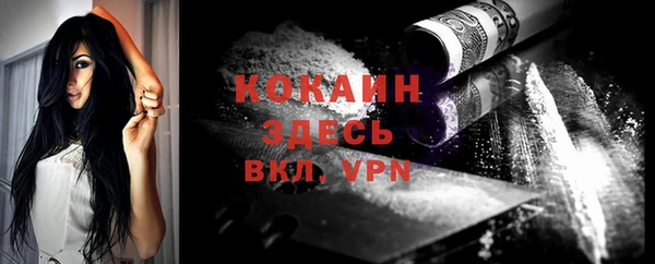 стаф Богданович