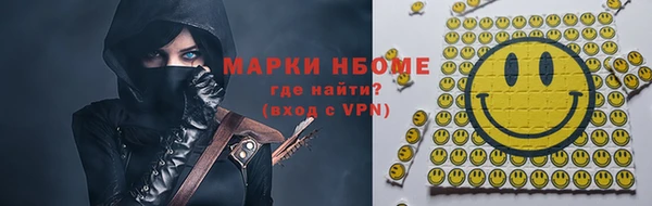 стаф Богданович