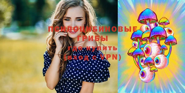 стаф Богданович