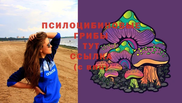 экстази Богородицк