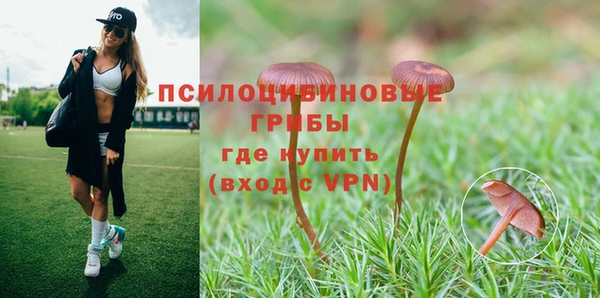экстази Богородицк