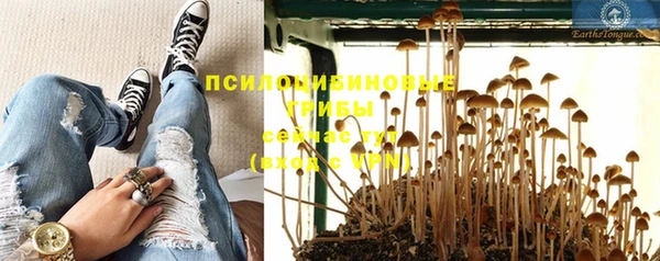 амфетамин Белокуриха