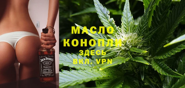 стаф Богданович