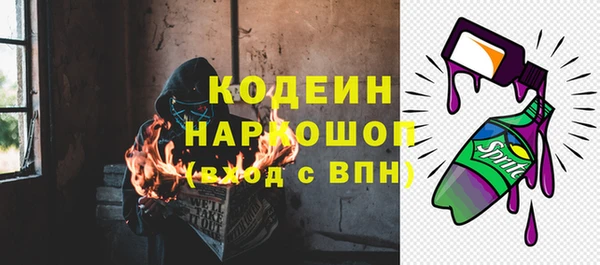 дурь Покачи