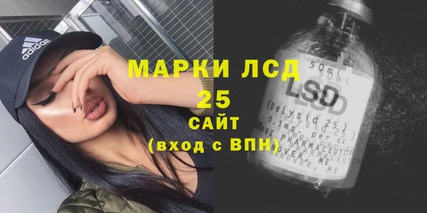 стаф Богданович